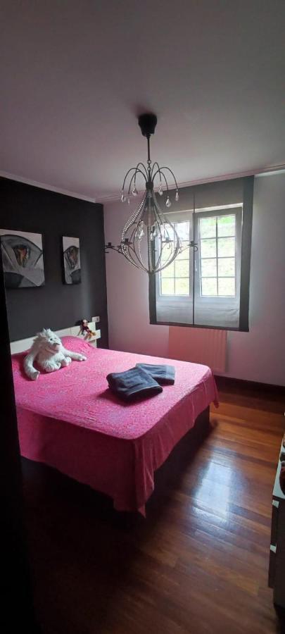 Nala House, Acogedor,Bien Comunicado,Aparcamiento Gratis En La Calle Bilbao Luaran gambar