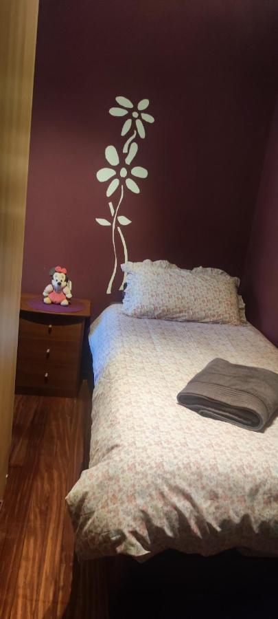 Nala House, Acogedor,Bien Comunicado,Aparcamiento Gratis En La Calle Bilbao Luaran gambar